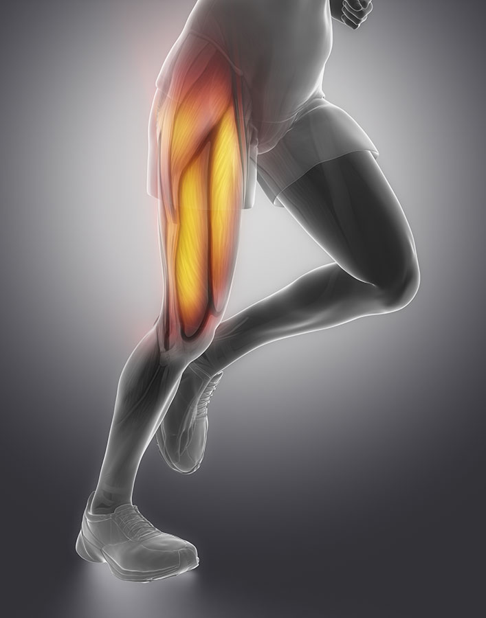 Quadriceps Tendinitis Quadriceps Tendon Pain In The Front Of Your Knee Hot Sex Picture