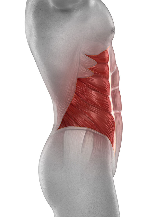Abdominal Muscle Strain - Stomach pain & cramps