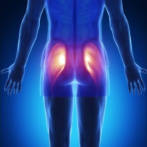 Hip muscle strain, hip strain, hip muscle injury, hip muscle pain, pain in the hip muscles
