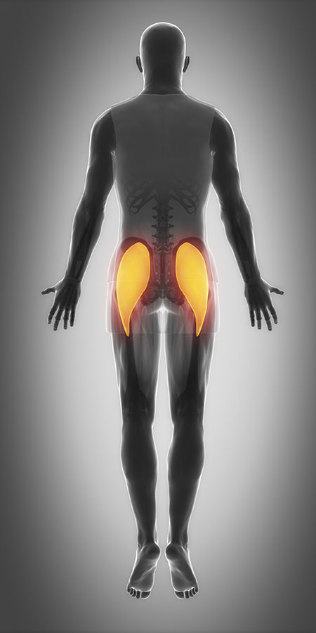 Hip Muscle Strain
