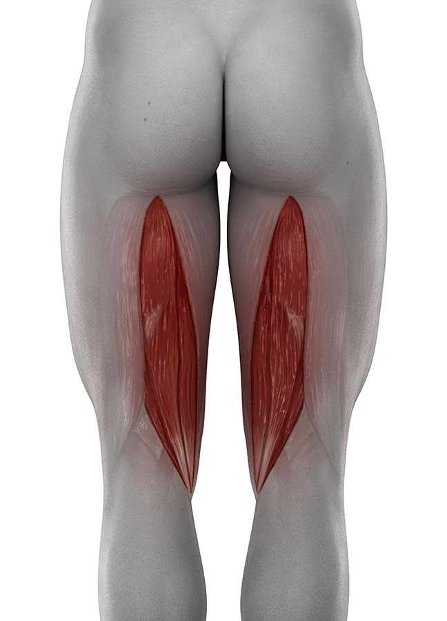 treating a hamstring pull