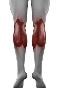 Lateral and Medial Head of the Gastrocnemius (Calf) Muscle Calf pain, Calf injuries, Calf Muscle tear