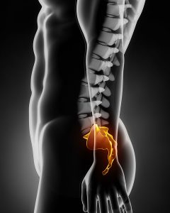 Lower back pain from Sacrum (S1 – S5) low bak