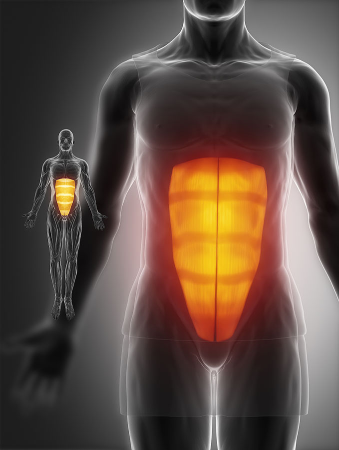 Abdominal Muscle Strain Cilliers Swart Physio