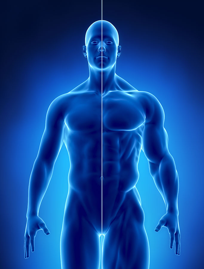 Sports Massage Pretoria, Sport Massage Pretoria East, Deep tissue massage