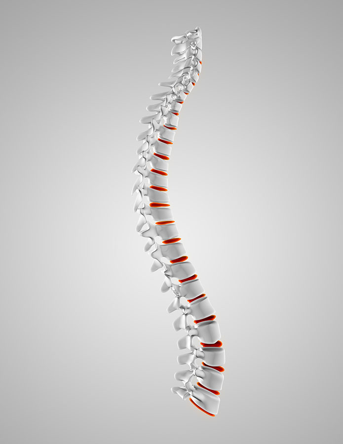 Spine joint Manipulation