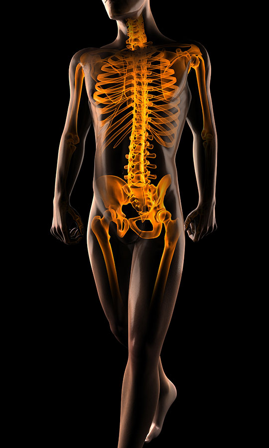 Sciatic Nerve & Hip Pain