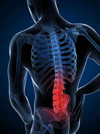 Lower back Joint Sprain Causes & Treatment Healing plan @WHP