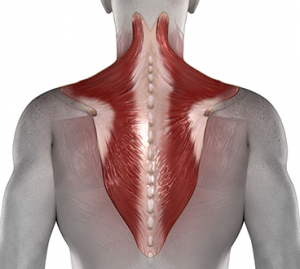 Neck strain & Neck muscle pain Treatment from the Physio experts