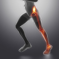 Physio Pretoria East Hip Pain Physio Pretoria East, Physio Pretoria, Pretoria Physio, Pretoria Physios, Physio in Pretoria East