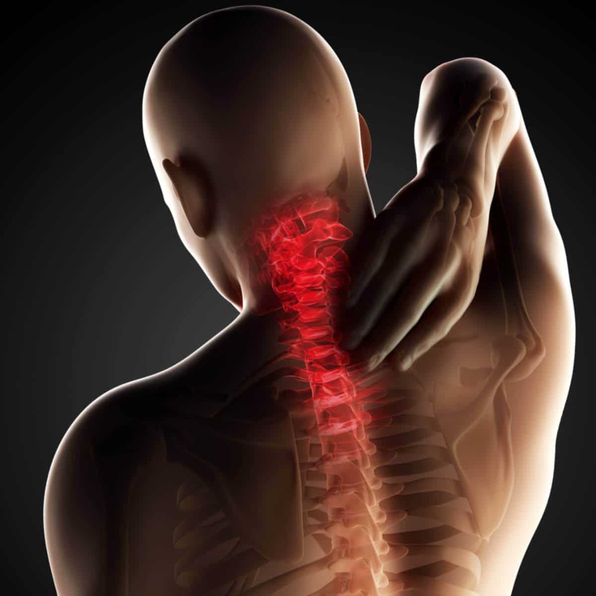 https://physiopretoria.co.za/corpus/content/media/2019/02/Upper-back-muscle-Spasm-Treatment-Sore-Upper-back-spasm-GoogFI.jpg