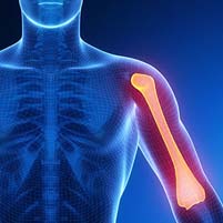 Shoulder joint dislocation :Dislocated your Shoulder? Shoulder Physio