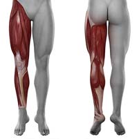 Severe Upper Leg Pain  10 Causes for Extreme Pain in Upper Leg
