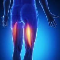 Hamstring Contusion Hamstring Contusion, hamstring bleeding, hamstring bruise