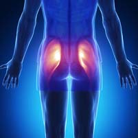 Hip muscle strain: Hip muscle injury & Pain