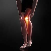 Sore knee pain vie the inside of the knee