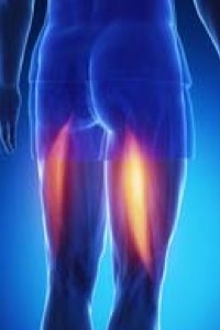 Hamstring_Contusion